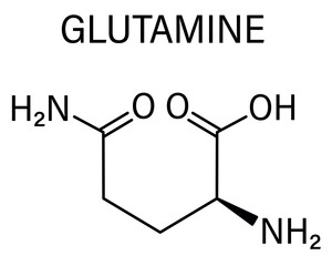 Glutamine or l-glutamine, Gln, Q amino acid molecule. Skeletal formula.