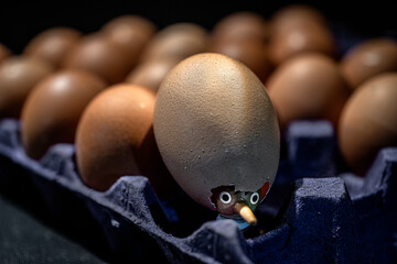 Pinocchio peeks out from an egg where he is hidden. - obrazy, fototapety, plakaty
