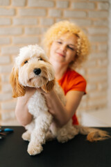 Vertical portrait of adorable curly Labradoodle dog sitting at table before brushing and shearing in grooming salon, looking at camera. Smiling female groomer holding obedient pet, selective focus.