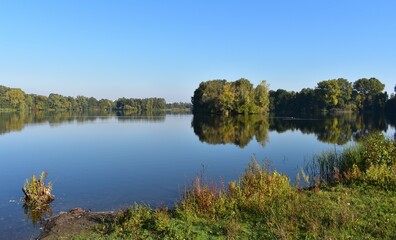 See-Bäume-Spiegelung