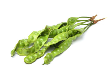 Bunch of Fresh Parkia speciosa isolated on white background.
