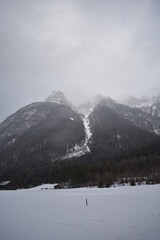 Alpen-Winter-Wald