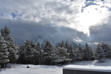 Alpen-Wälder-Winter