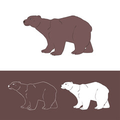 illustration of a bear. white and  brown bears.