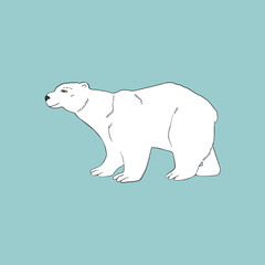 Fototapeta premium polar bear vector illustration