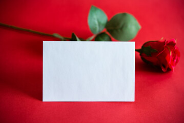 White envelope on red background, to write a love letter on Valentine's Day for your partner, or to conquer, and with a rose, symbol of affection. Concept of love