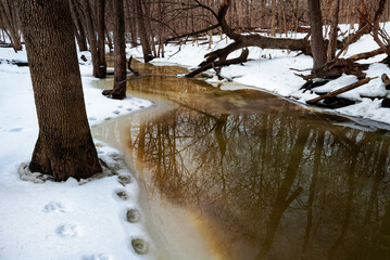 538-94 Ice, Snow and Reflection Patterns on Spring Creek