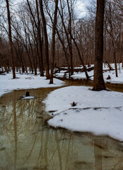 538-87 Ice, Snow and Reflection Patterns on Spring Creek