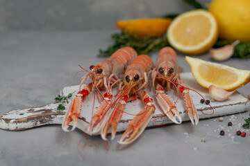 Boiled langoustines on white cutting board isolated on gray concrete table. Served with lemon and spicy herbs.