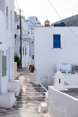 Greece, Serifos island. Traditional white building and narrow street at Chora town  Cyclades.