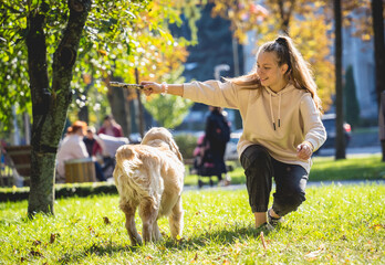 The owner plays the golden retriever dog in the park.