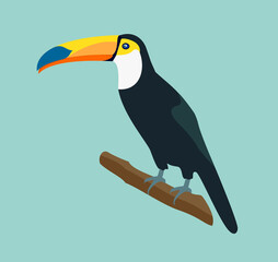 toucan bird on branch