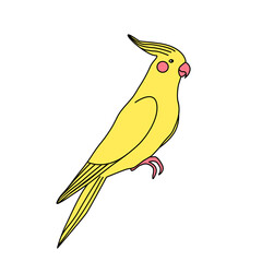 retro drawing; sticker. Parrot vector. Drawn in children's style. Print for clothes. fashion vector illustration. cartoon style.