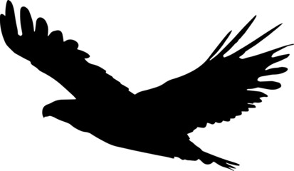 Eagle EPS, Eagle Silhouette, Eagle Vector, Eagle Cut File, Eagle Vector