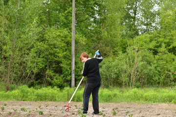 A woman removes weeds with a tool from the garden.