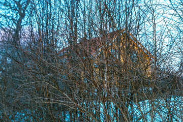 the yellow house behind the hedge