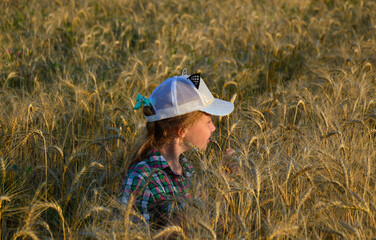 a little blonde in a light cap among the ripened ears of a wheat field at sunset. only the girl's head is visible