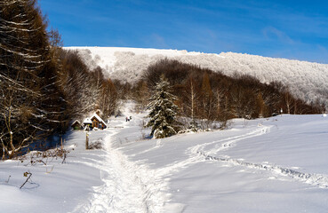 Bieszczady, Polska , połonina , góry, Karpaty