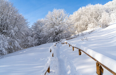 Bieszczady, Polska , połonina , góry, Karpaty