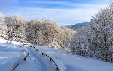 Bieszczady, Polska , połonina , góry, Karpaty