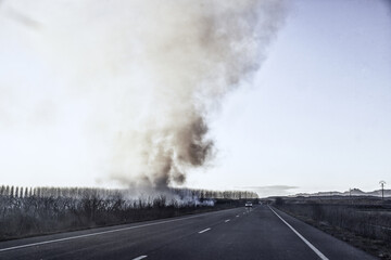 Burning in the field