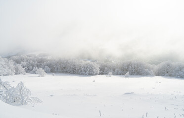 Bieszczady, Polska , połonina , góry, Karpaty