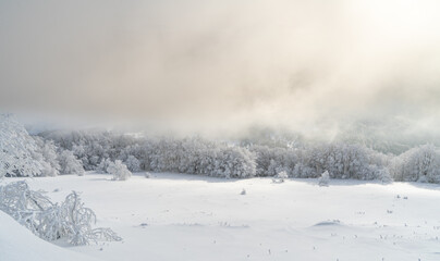 Bieszczady, Polska , połonina , g&oacute;ry, Karpaty
