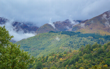 Autumn colors in the mountains. Clouds are covering the forest