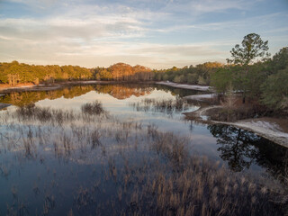 Indian Lake winter. Indian Lake  Forest, Marion County Florida