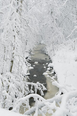 stream in the forest in winter running water, river in nature. snowy landscape. nature of Finland, Scandinavia