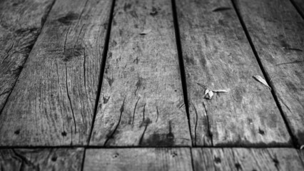 old wooden boards and fallen leaves