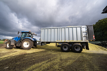  Anlieferung von Silagegut -  Ein Anhänger wird direkt am Silagehaufen entleert.  