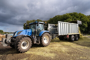  Anlieferung von Silagegut -  Ein Anhänger wird direkt am Silagehaufen entleert.  