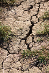 Drought-cracked soil closeup with selective focus on foreground