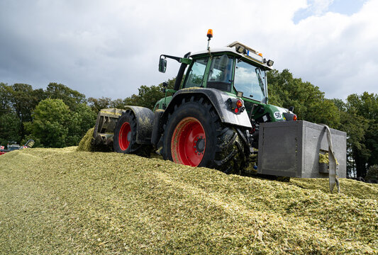 Einbringen der Maisernte, Maissilage wird mit modernen schweren landwirtschaftlichen Geräten zum Maissilo aufgefahren und verdichtet.