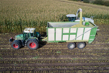 Luftfoto - Maishäcksler und Transportfahrzeuge auf dem Feld bei der Maisernte.