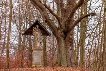Heiligenbild neben verästeltem Baum im Wald