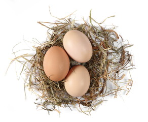 Eggs in nest isolated on white, top view