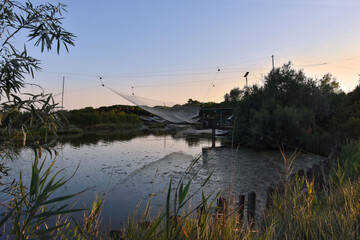 scenario tranquillo nel parco del delta del fiume Po