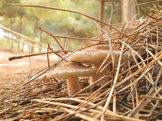 Vega Baja del Segura - El lago azul del Parque Natural de las Lagunas de La Mata y Torrevieja 