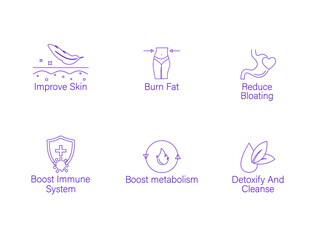improve skin, burn fat, reduce bloating, boost the immune system, boost metabolism, detoxify and cleanse icon set vector