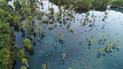 Aerial view of Macaws Lake at Nobres Mato Grosso Brazil. Touristic point. Great landscape. Travel destination. Vacation travel. Bom Jardim village at Nobres Mato Grosso Brazil.