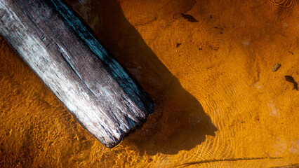 A tree trunk in fallen in a creek. © EGo