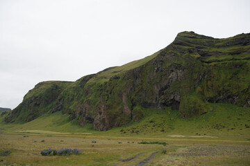 Fototapeta premium Green Grassy mountain Landscape in the highlands. Travel and nature on a beautiful cold day
