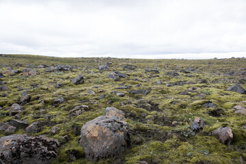 Green Grassy mountain Landscape in the highlands. Travel and nature on a beautiful cold day