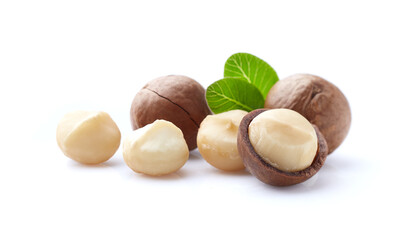 Macadamia kernel with leaves on white background