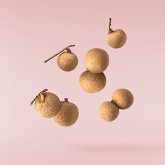 Fresh raw longan fruit falling in the air isolated on  pink background.