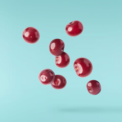 Fresh raw cheery falling in the air on turquoise background.