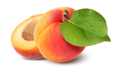 Fresh raw sweet Apricot with green leaves isolated