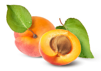 Fresh raw sweet Apricot with green leaves isolated